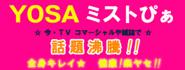 YOSA PARK ミストぴぁ
